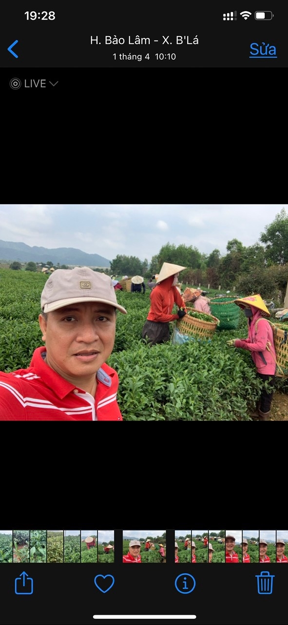 Thọ Đào Profile Picture