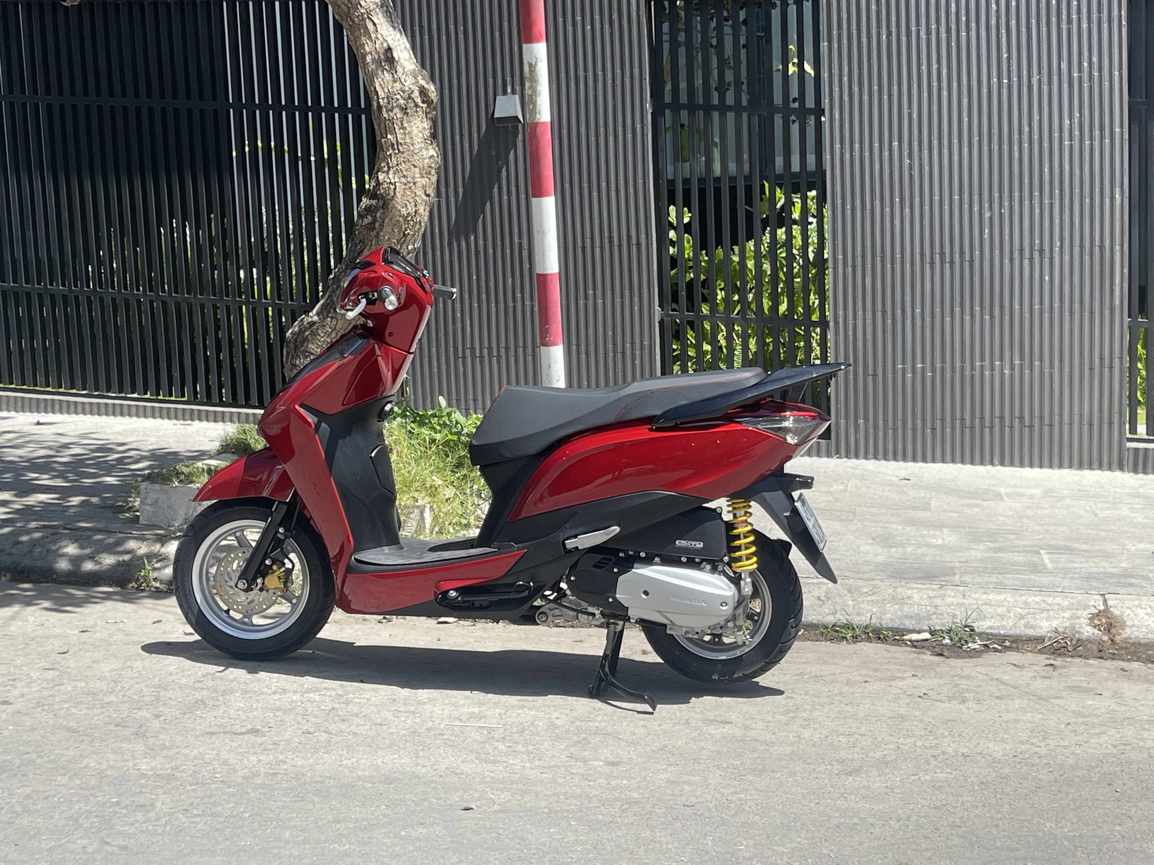 Entivi Mr Profile Picture
