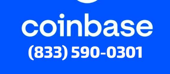 How Do I Connect To Coinbase Support? Easy Solution   | Crypto-Potential