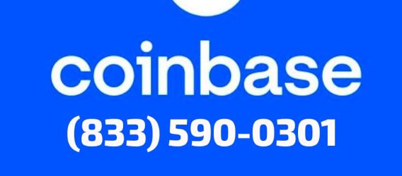 How Do I Contact Coinbase Support? Guide Step-By-Step   | Crypto-Potential