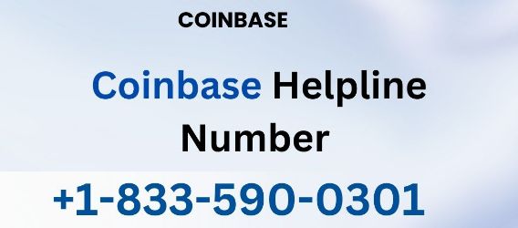 How To Change My Phone Number On Coinbase Get In Touch  | Crypto-Potential
