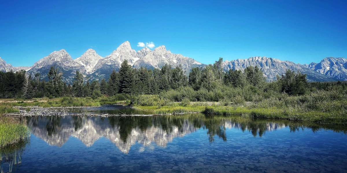 Ultimate Ways to Contact Aruba Air Customer Service by Phone, Chat and Email