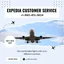 11 Ways to Reach Expedia Customer Service: By Phone, Email and Chat | A Detailed Guide • Official Expedia