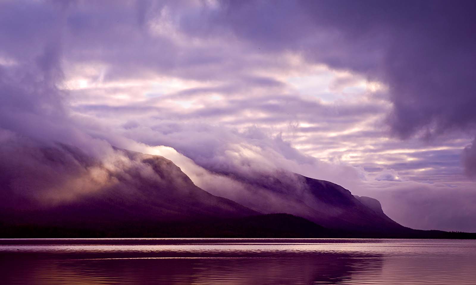 22 Ways to Communicate American  Airlines Customer Service via Phone, email, or Chat Options: Step b | soren's Ownd