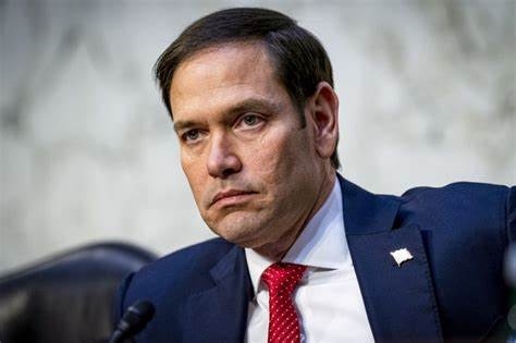 jack rubio Profile Picture