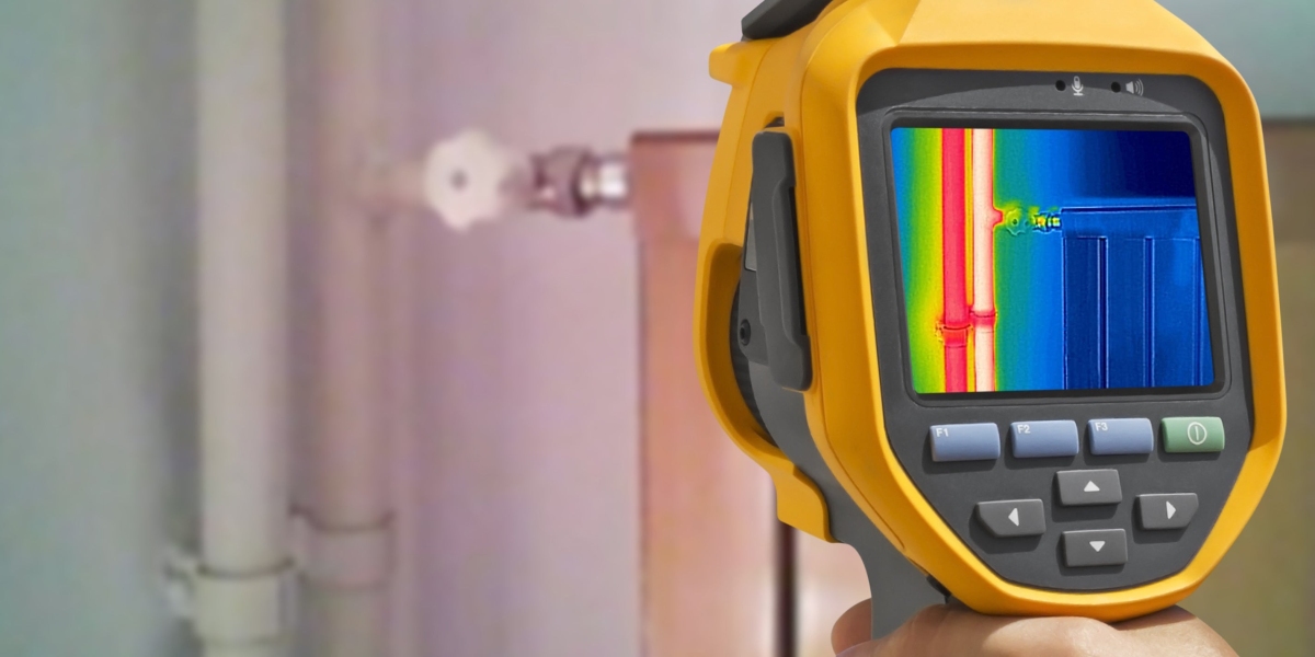 Onbekende feiten over lekdetectiediensten bekendgemaakt