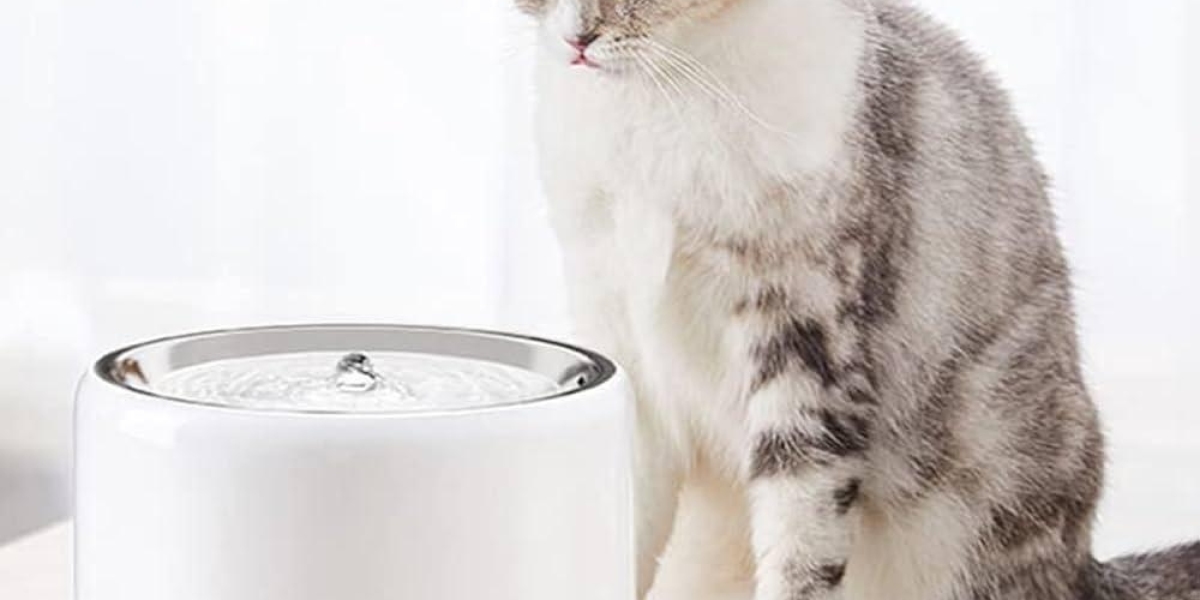 Why Choose Pawtechpet Intelligent Pet Water Dispenser for Indoor Pets
