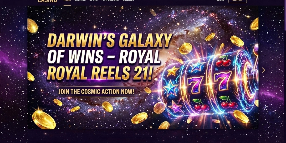 The Perth Social Experiment: My Three-Minute Descent into Digital Wagering