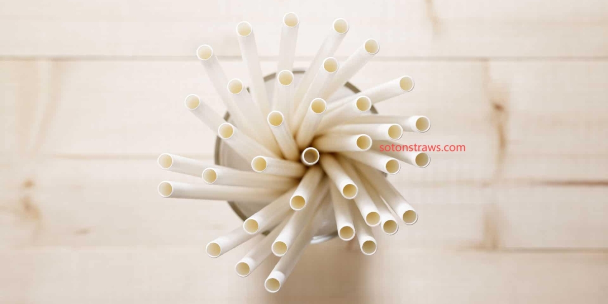Soton Eco-friendly Straws Factory: Quality Options
