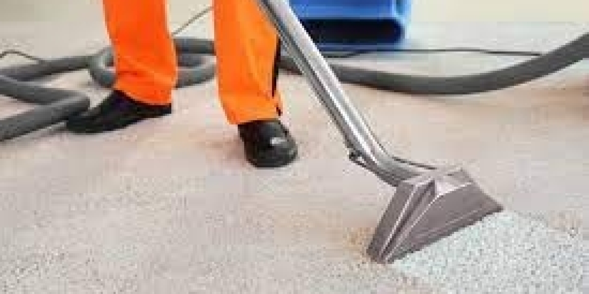 Why Carpet Cleaning Services Are a Smart Preventive Choice
