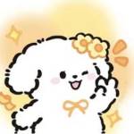 haiii daaaa Profile Picture