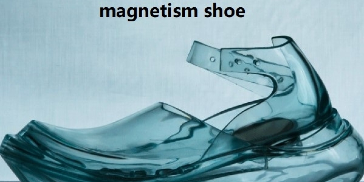 Customized Magnetism Shoe by Magneticsegment