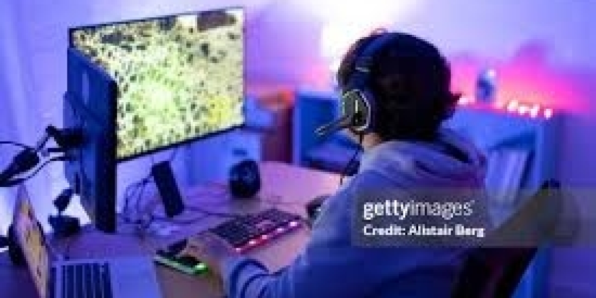 All You Need to Know About the allpanel.ing Platform