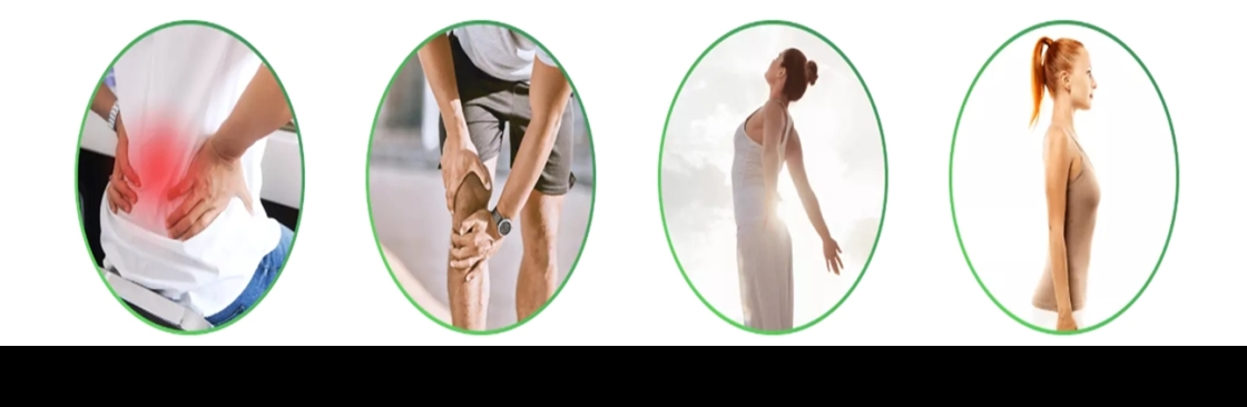 The Holistic Move Cover Image