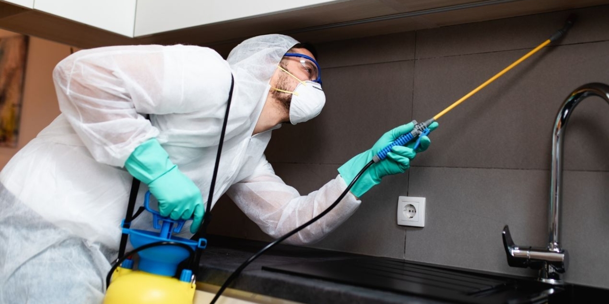 The Silent Threat Beneath Your Property That Most Owners Ignore