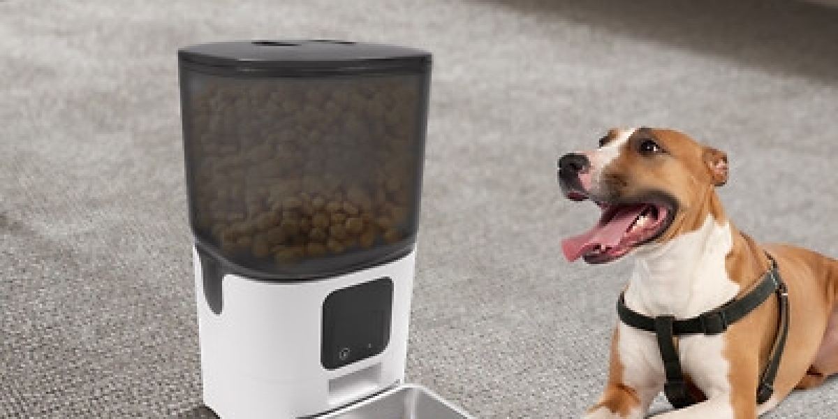 Innovative Technology Creating Better Pet Care Experiences