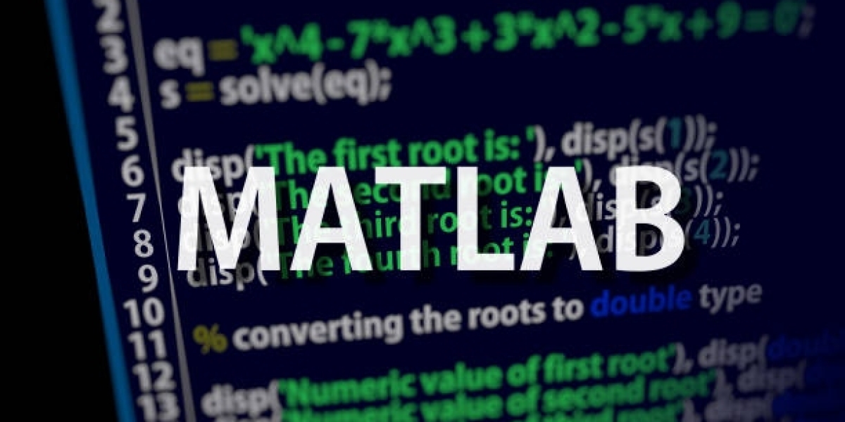 Writing MATLAB Code for Interdisciplinary Research