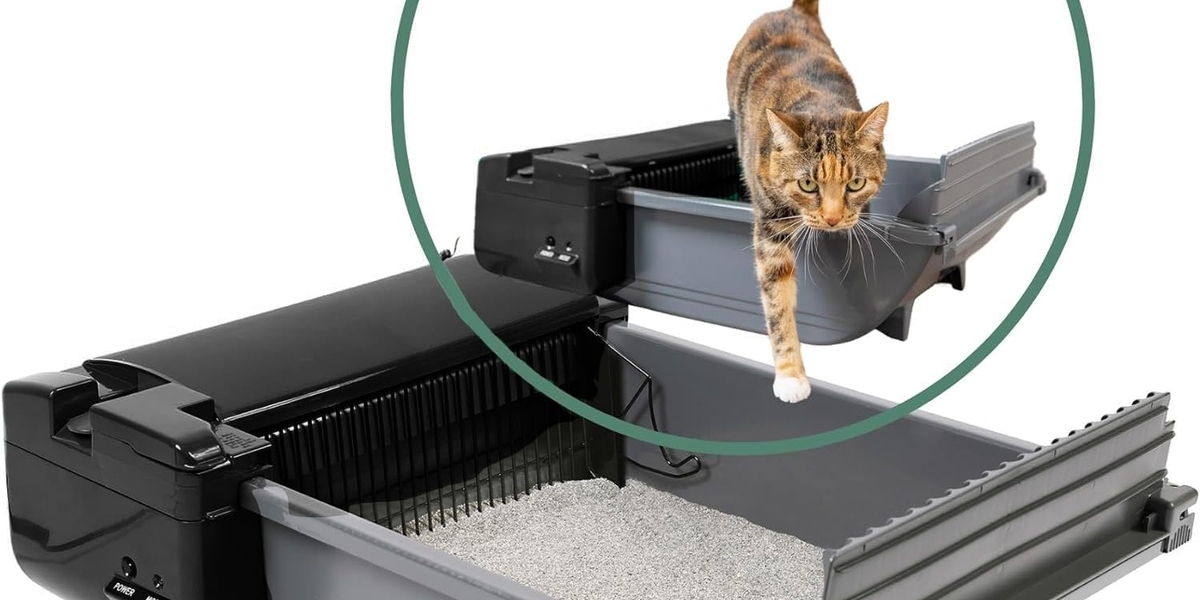 Advanced Litter Management for Cleaner Living Spaces