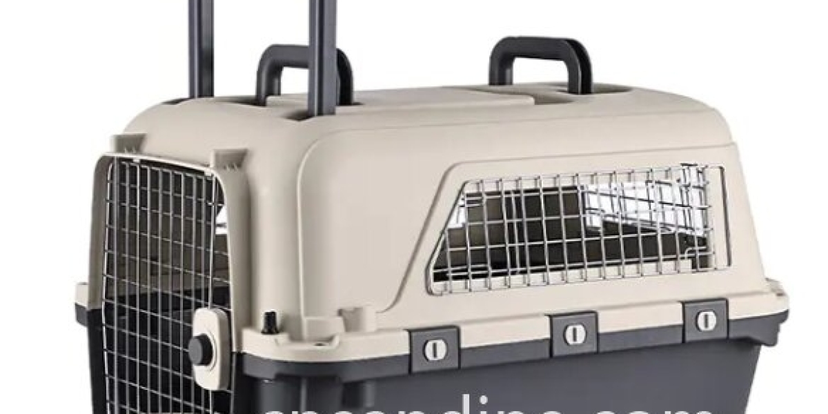 Plastic Pet Carrier for Safe Everyday Pet Travel
