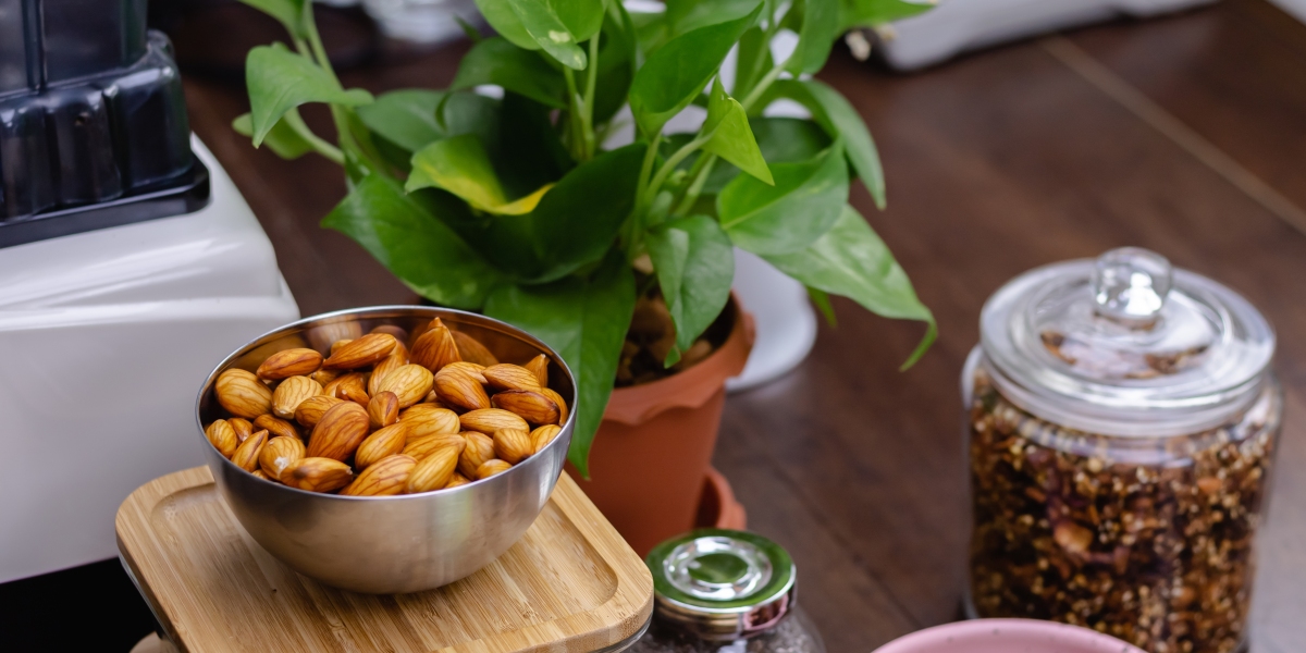 Health and Wellness Snacks Market Analysis: Investment, Innovation, and Growth Opportunities Through 2033