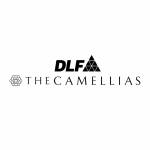 DLF Camellias Profile Picture