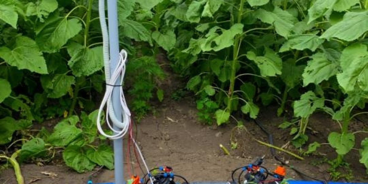 Automated Drip Irrigation Systems Driving Precision Agriculture
