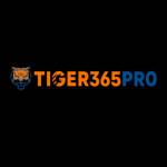 Tiger 365 Profile Picture