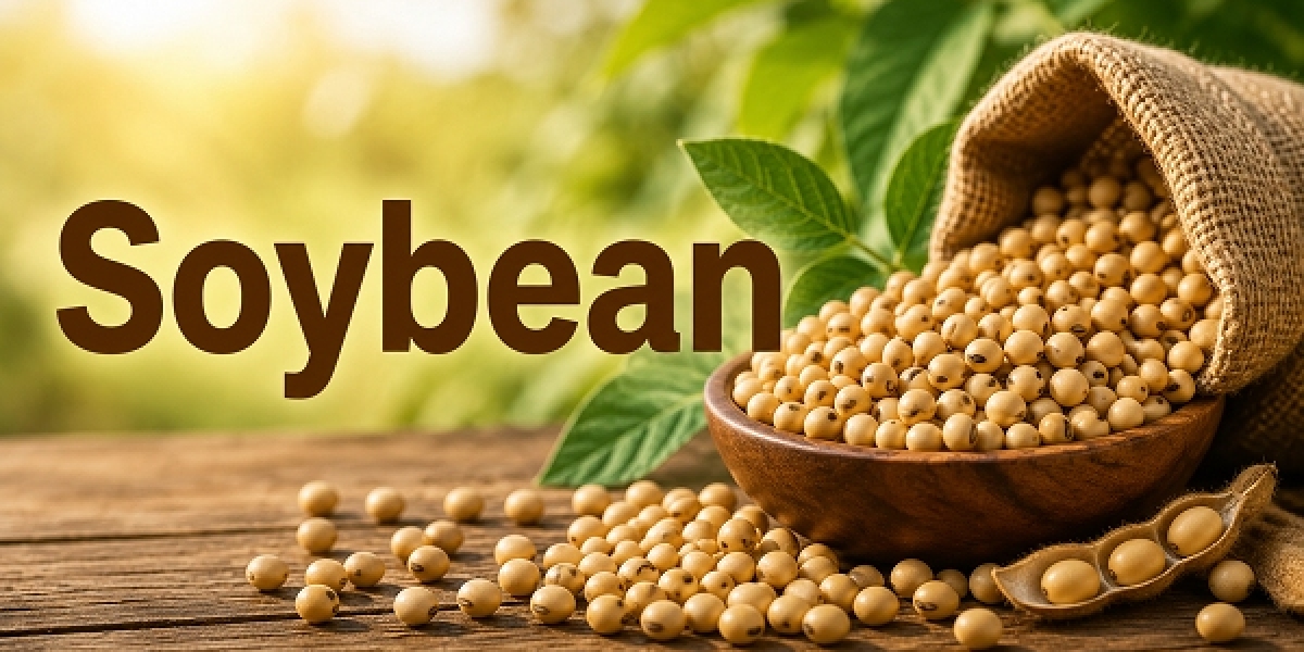 Soybean Price Trend | Understanding Market Movements, Demand, Supply, and Future Price Outlook