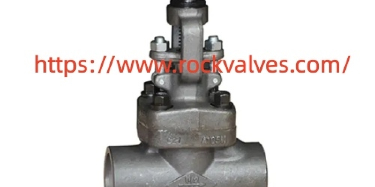 Which Rockvalves Low Temperature Steel Globe Valve Details Matter Before Ordering