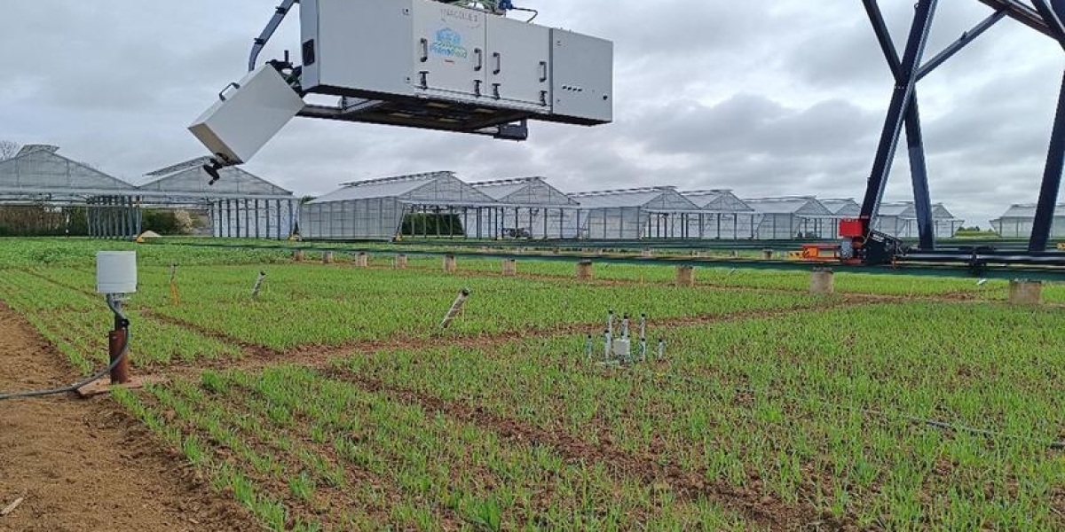 Field Phenotyping Dominating Agricultural Research Market