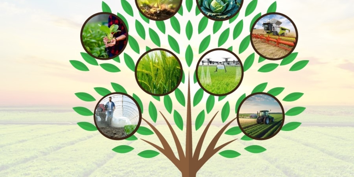 Biofumigation Market Expands With Eco-Friendly Crop Protection