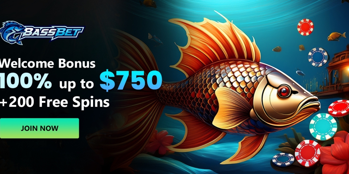 Weigh Live Casino Features Bassbet Right Now Guide