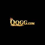 qqgg365 com Profile Picture
