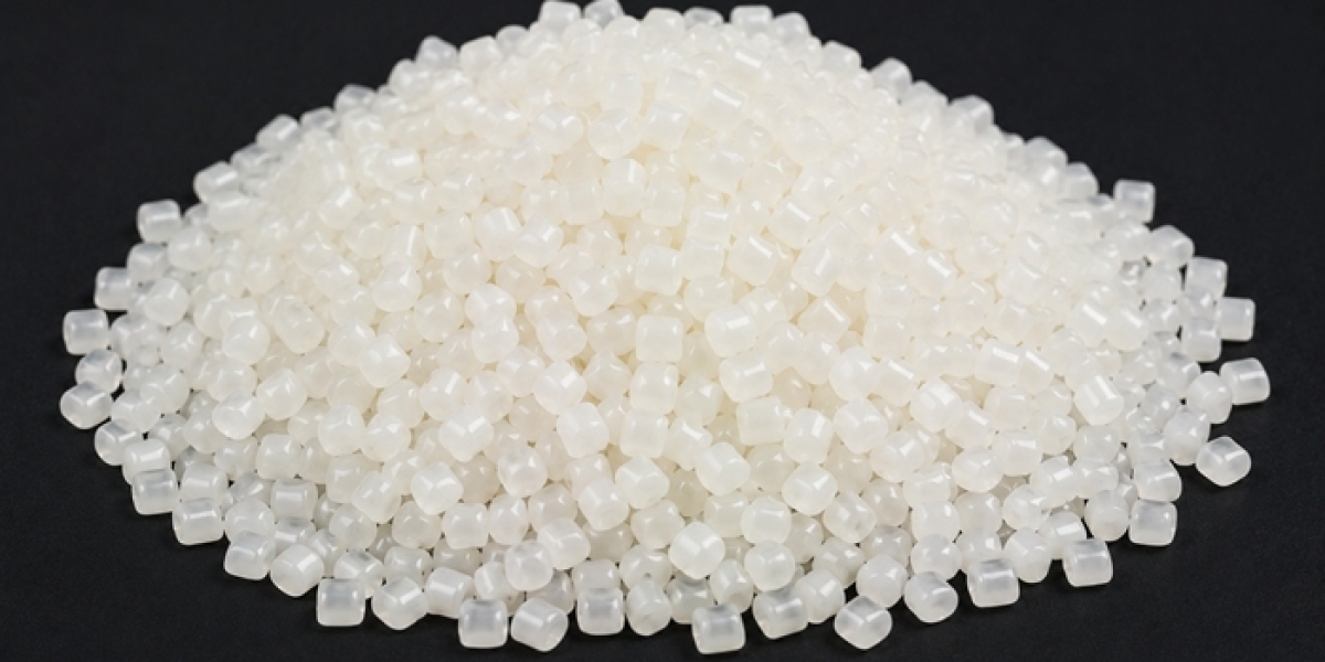 Polylactic Acid (PLA) Price Trend in Q2 2026