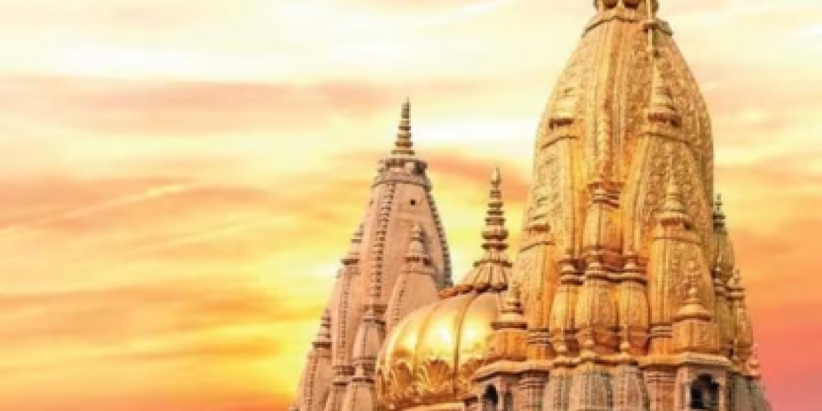 Paquete Kashi Vishwanath Darshan